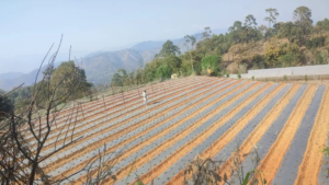 नयाँ प्रविधिको पहुँचमा डोटीका किसान